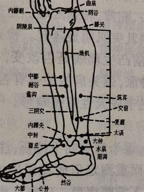 地機穴氣結|地機穴:名稱釋義,功能作用,治法,定位,解剖,主治,操作,臨床運用,操。